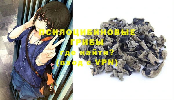 apvp Осинники