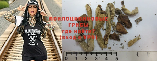 гашик Остров